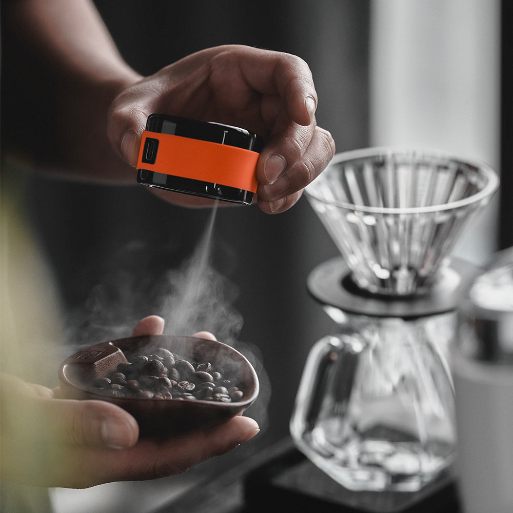Electric RDT Spray - Anti-Static Bean Mister