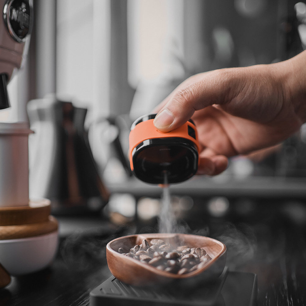 Electric RDT Spray - Anti-Static Bean Mister