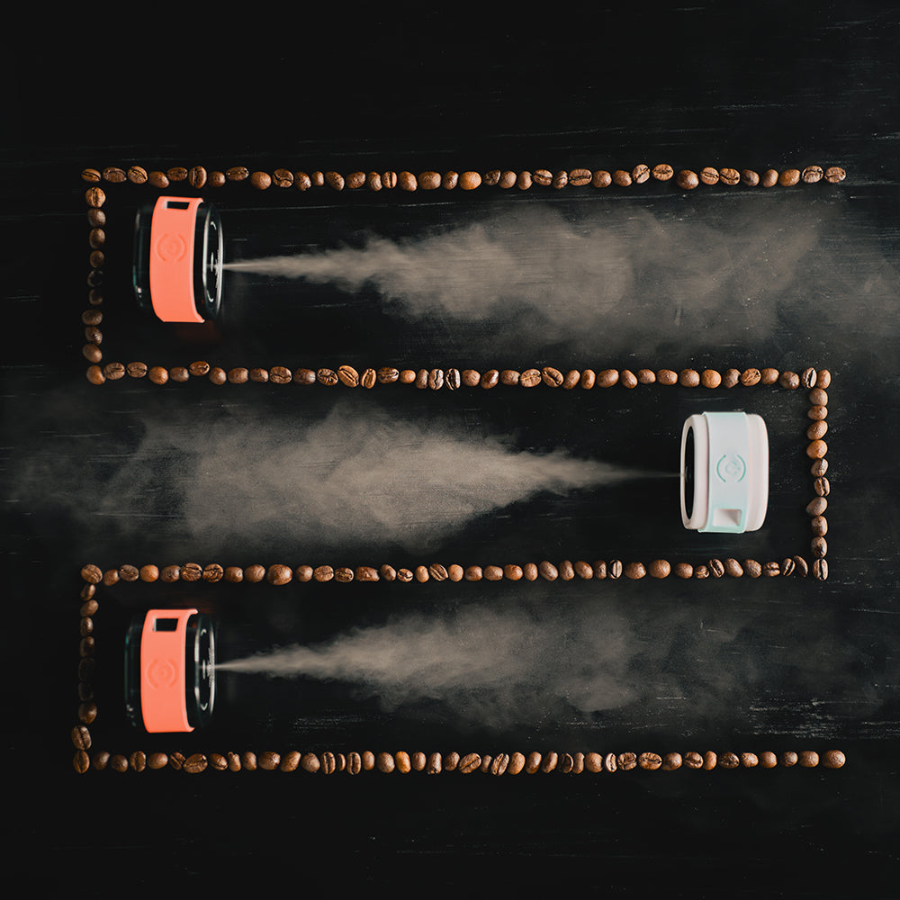 Electric RDT Spray - Anti-Static Bean Mister