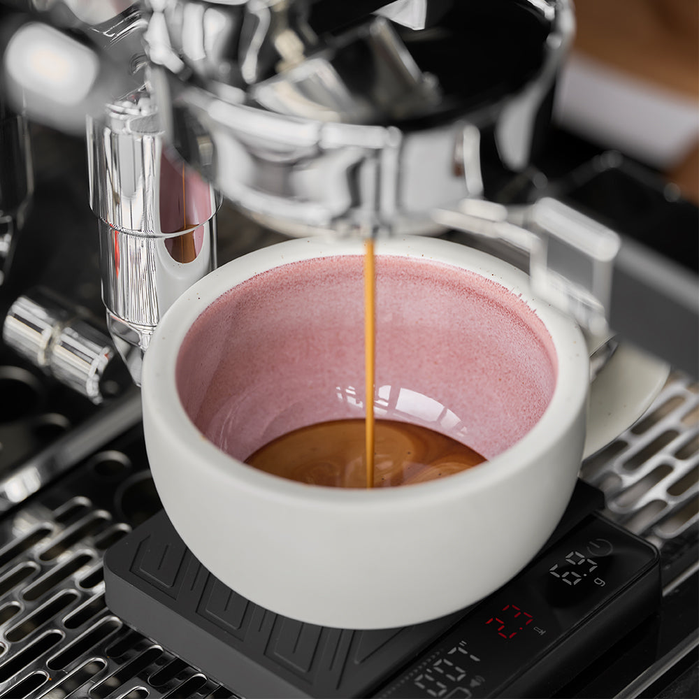 Latte Cup 300ml - Pink, Brown or Blue
