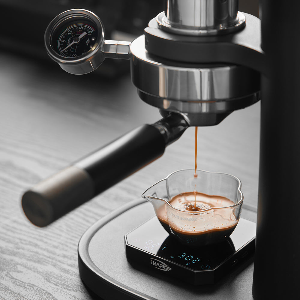 Alkaid Hand-Cranked Manual Espresso Machine